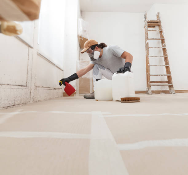 Best Air Quality Testing for Mold Spores  in Lake San Marcos, CA